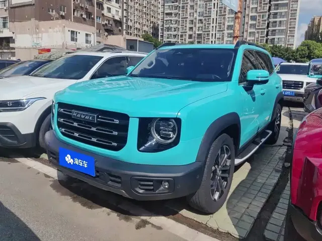 Haval Big Dog 2021 1.5T DCT 2WD Border Collie Edition