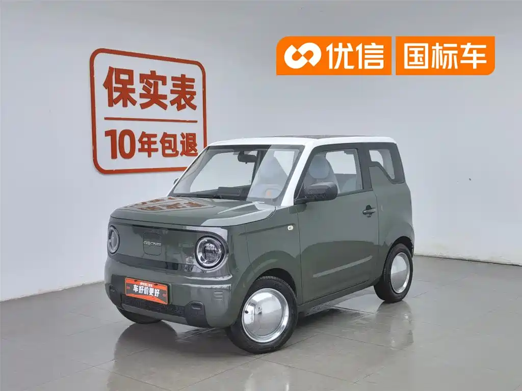 Geely Galaxy Panda 2023 Panda Mini 200km Lively Bear