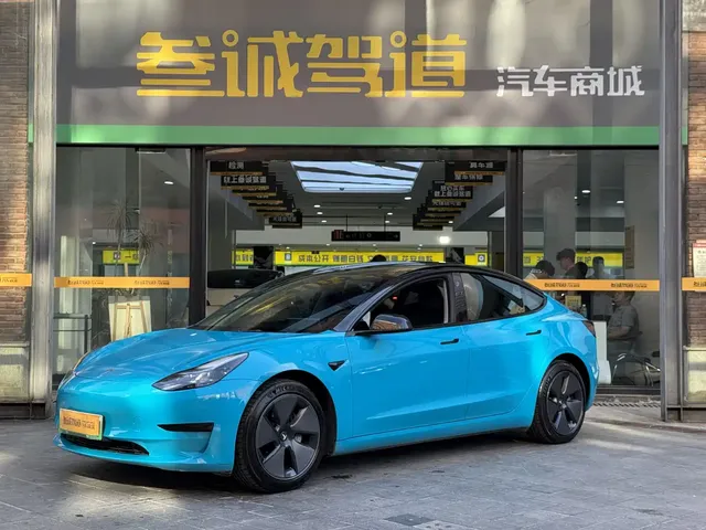 Tesla Model 3 2022 Model Rear-Wheel Drive Version