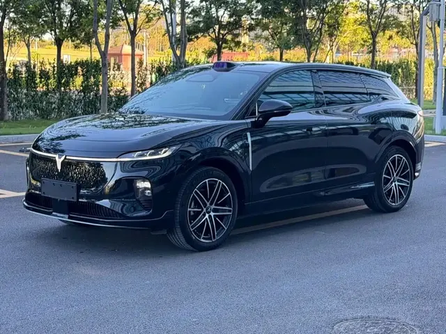 Voyah Auto Voyah Zhiyin 2025 Base