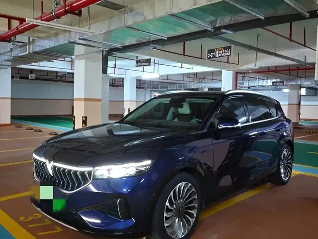 Voyah Auto VOYAH FREE 2022 DNA Extended Range Edition