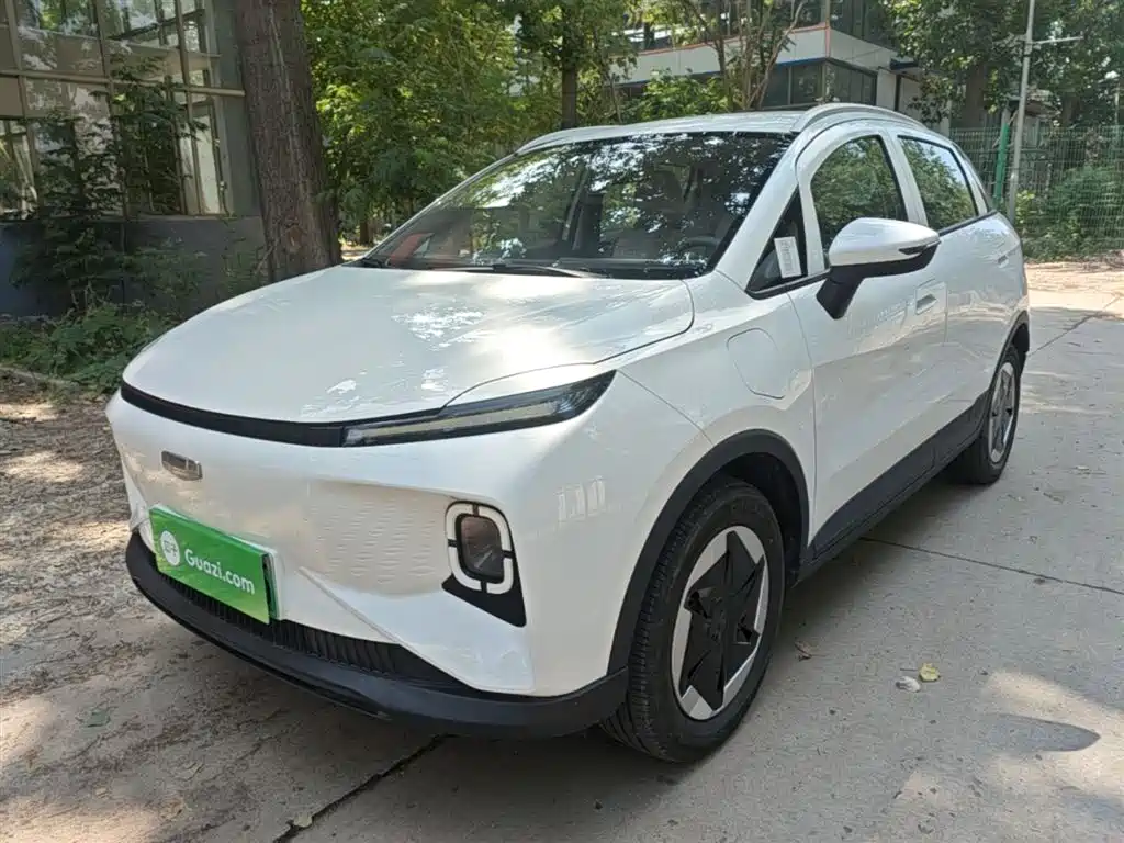 Geely Geometry E Firefly 2024 Model 301km Starlight