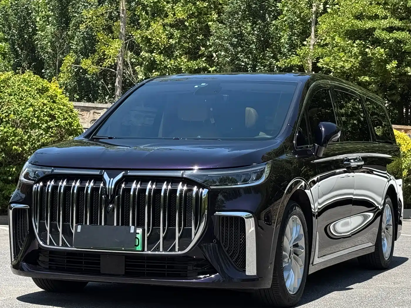 Voyah Auto Voyah Dreamer 2022 Low Carbon Edition Home