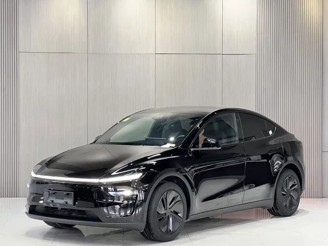 Tesla Model Y 2025 Long Range All-Wheel Drive