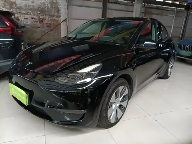 Tesla Model Y 2021 Standard Range Rear-Wheel Drive