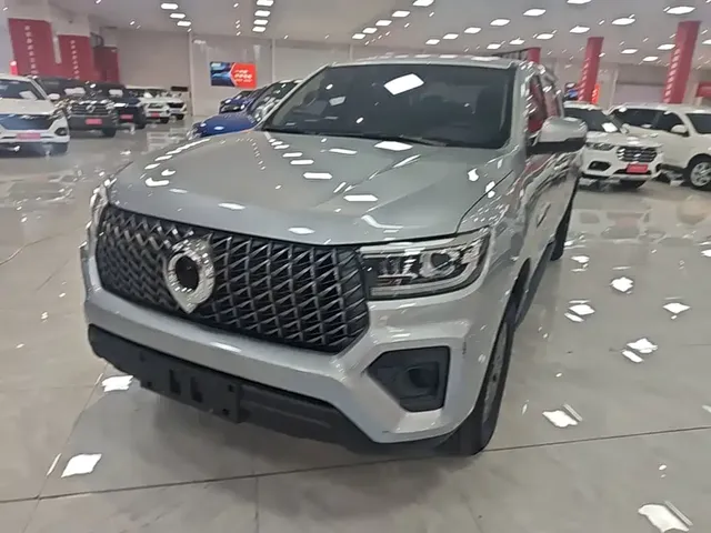 Great Wall Pao 2024 Model 2.4T Commercial Version Automatic Diesel 2WD Elite Type