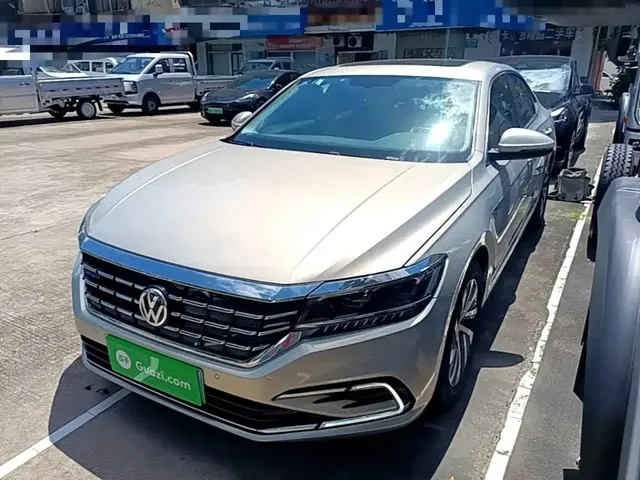 Volkswagen Passat New Energy 2020 430PHEV Hybrid Luxury (China VI)
