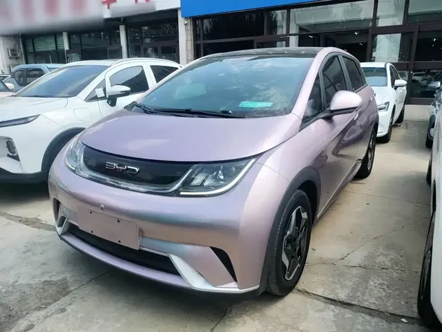 BYD Dolphin 2021 Model 405km Fashion Edition