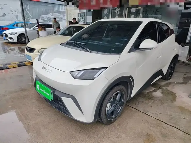 BYD Seagull 2024 Glory Edition 305km Freedom Edition