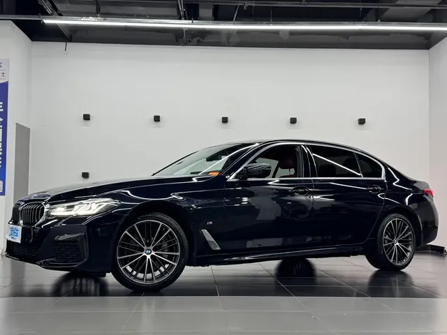 BMW 5 Series 2021 530Li Leading M Sport Package