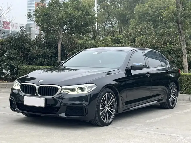BMW 5 Series 2020 530Li Leading M Sport Package