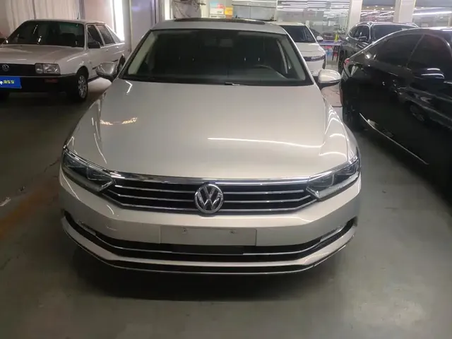 Volkswagen Magotan 2019 330TSI DSG Leading China V