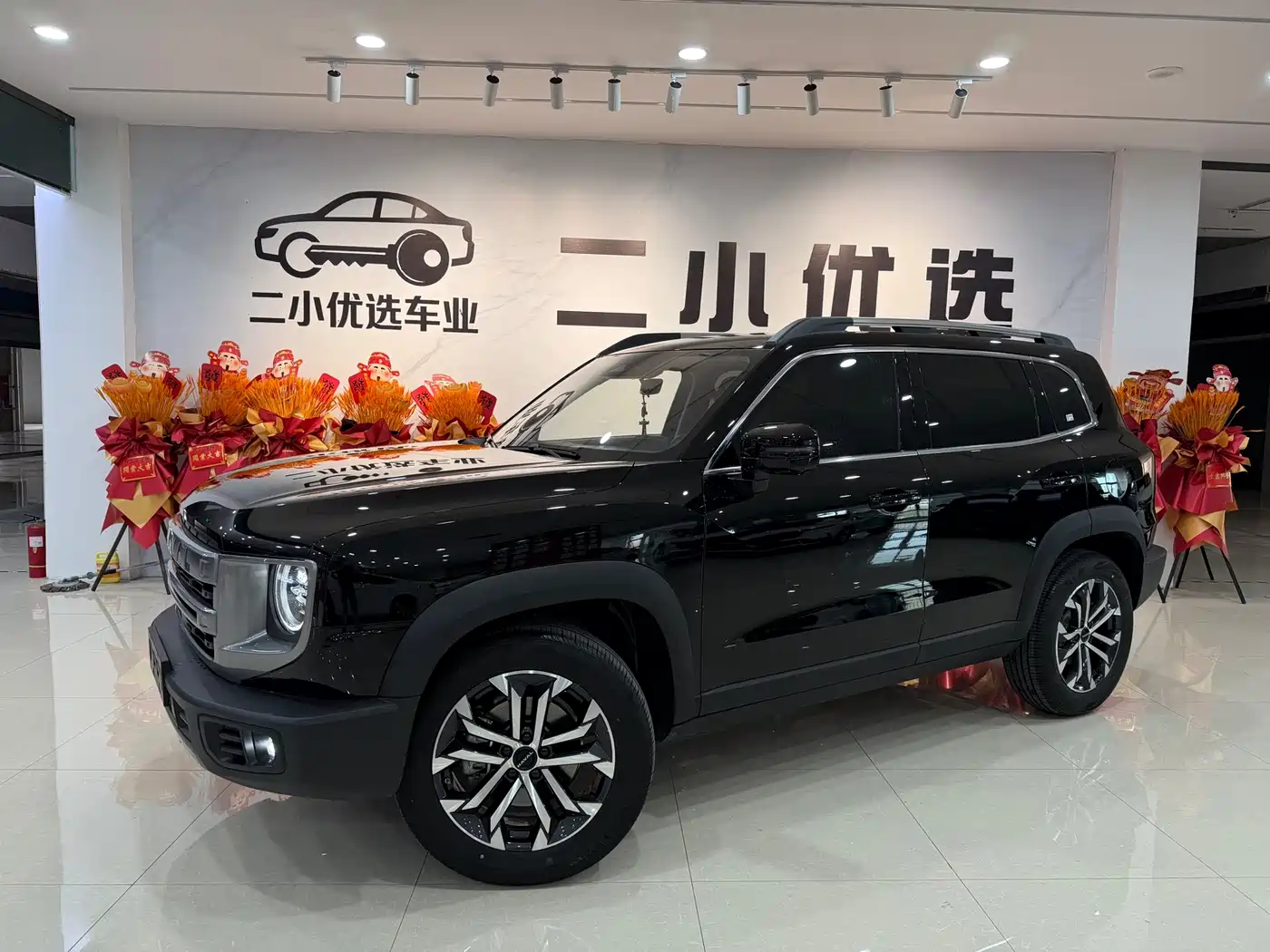 Haval Big Dog 2024 1.5T DCT Border Collie Edition