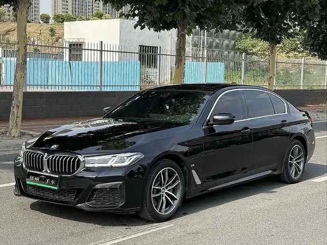 BMW 5 Series New Energy 2022 535Le M Sport Package
