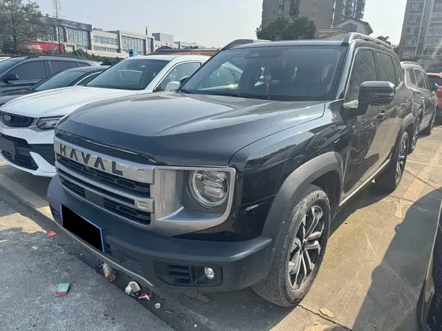 Haval Big Dog 2024 1.5T DCT Border Collie Edition