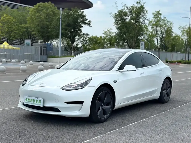 Tesla Model 3 2020 Standard Range Rear-Wheel Drive Upgrade