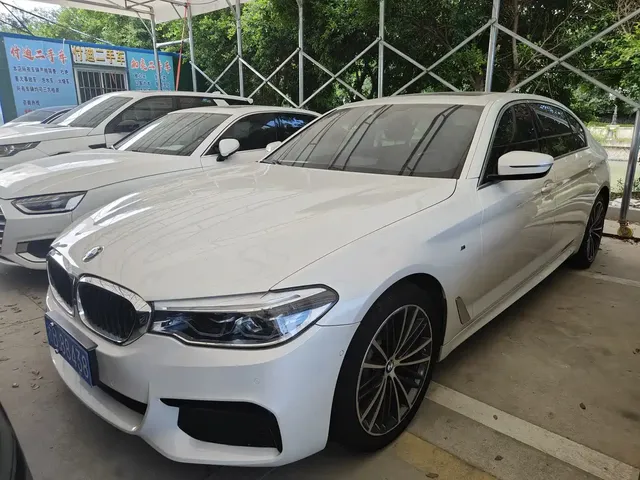 BMW 5 Series 2020 530Li Exclusive M Sport Package
