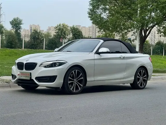 BMW 2 Series (Import) 2019 225i Convertible Coupe Sport Design Package