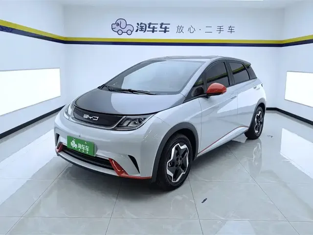 BYD Dolphin 2021 405km Freedom Edition
