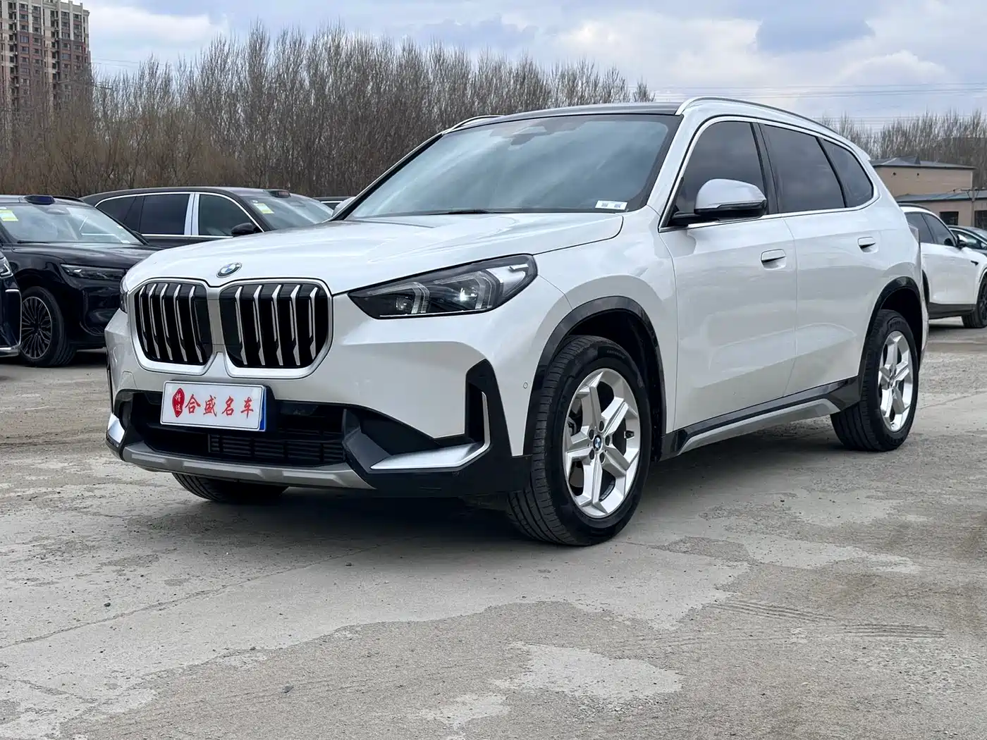 BMW X1 2024 sDrive20Li X Design Package