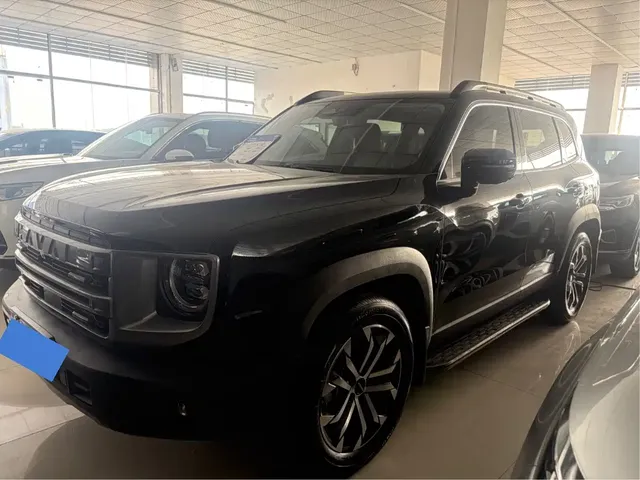 Haval Big Dog 2024 1.5T DCT Border Collie Edition