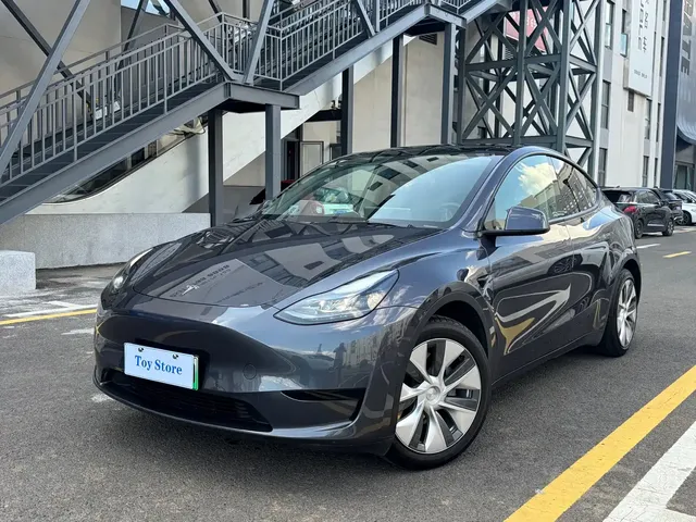 Tesla Model Y 2022 Rear-Wheel Drive Version