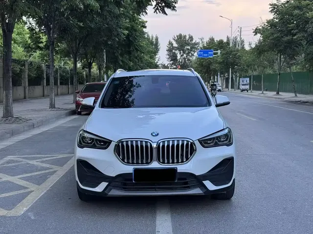 BMW X1 2020 sDrive20Li Fashion Model