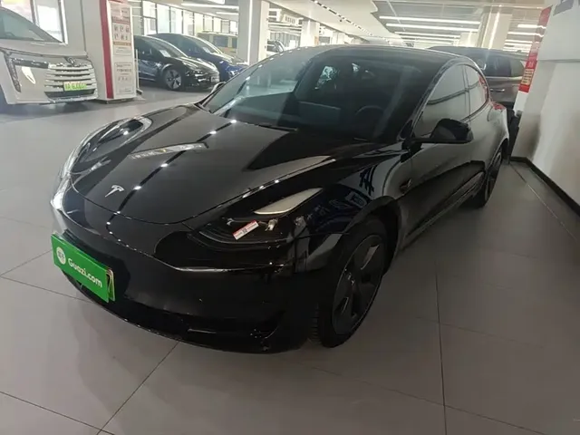 Tesla Model 3 2022 Model Rear-Wheel Drive Version