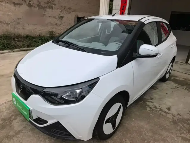 JMCG New Energy Little Kirin 2025 PLUS+ Luxury Model