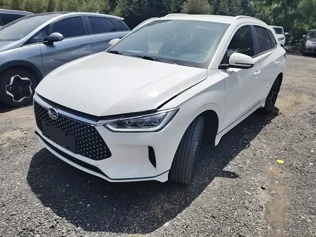 BYD e2 2020 Upgraded Long Range Luxury