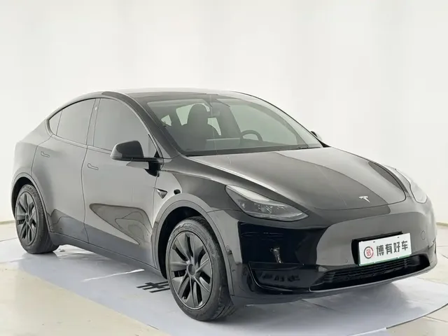 Tesla Model Y 2023 Rear-Wheel Drive Edition