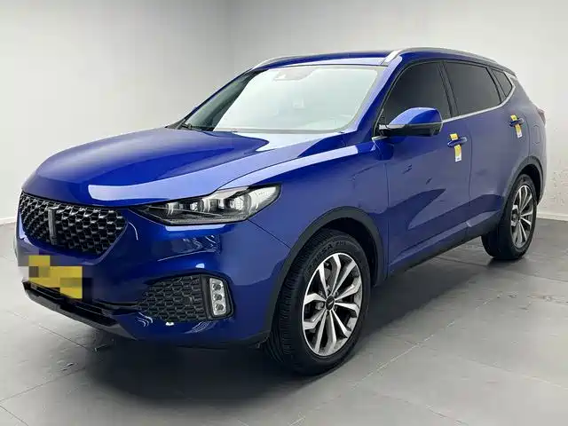 WEY VV6 2020 2.0T 2WD Smart Protection+
