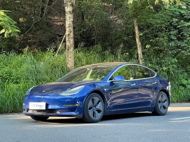 Tesla Model 3 (Import) 2019 Performance High-Efficiency All-Wheel Drive Version