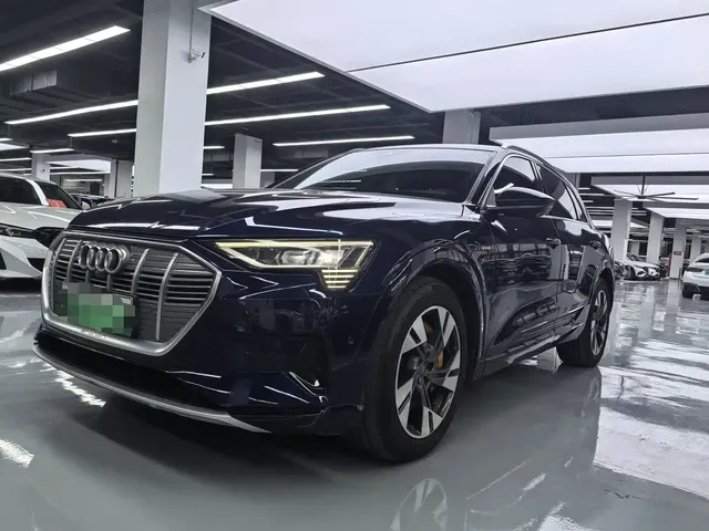 Audi e-tron (Import) 2019 55 quattro Technology