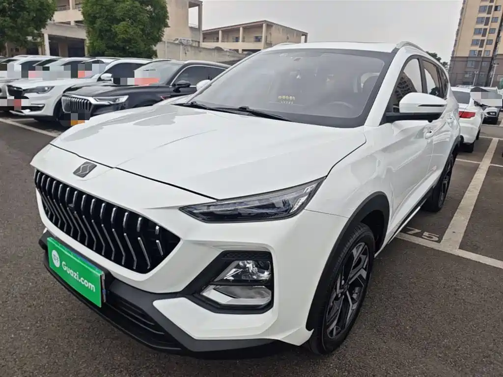 Sehol X8 2021 300T DCT Luxury Smart Connect 7-Seater