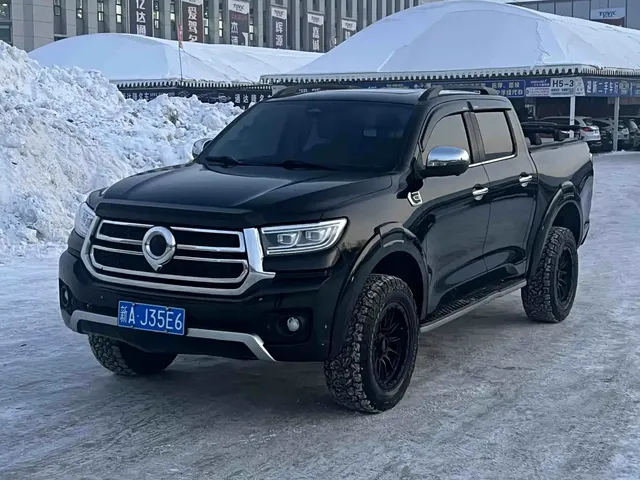 Great Wall Pao 2023 2.0T Passenger Version Automatic Gasoline 4WD Premium GW4C20B
