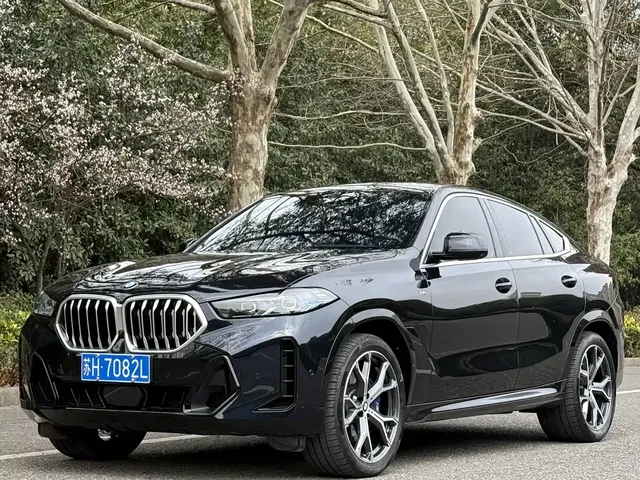 BMW X6 2023 xDrive40i Premium M Sport Package
