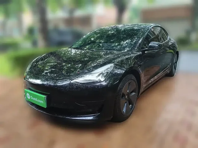 Tesla Model 3 2021 Standard Range Rear-Wheel Drive Upgrade