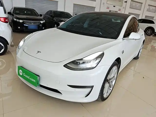 Tesla Model 3 (Import) 2019 Long Range RWD Version