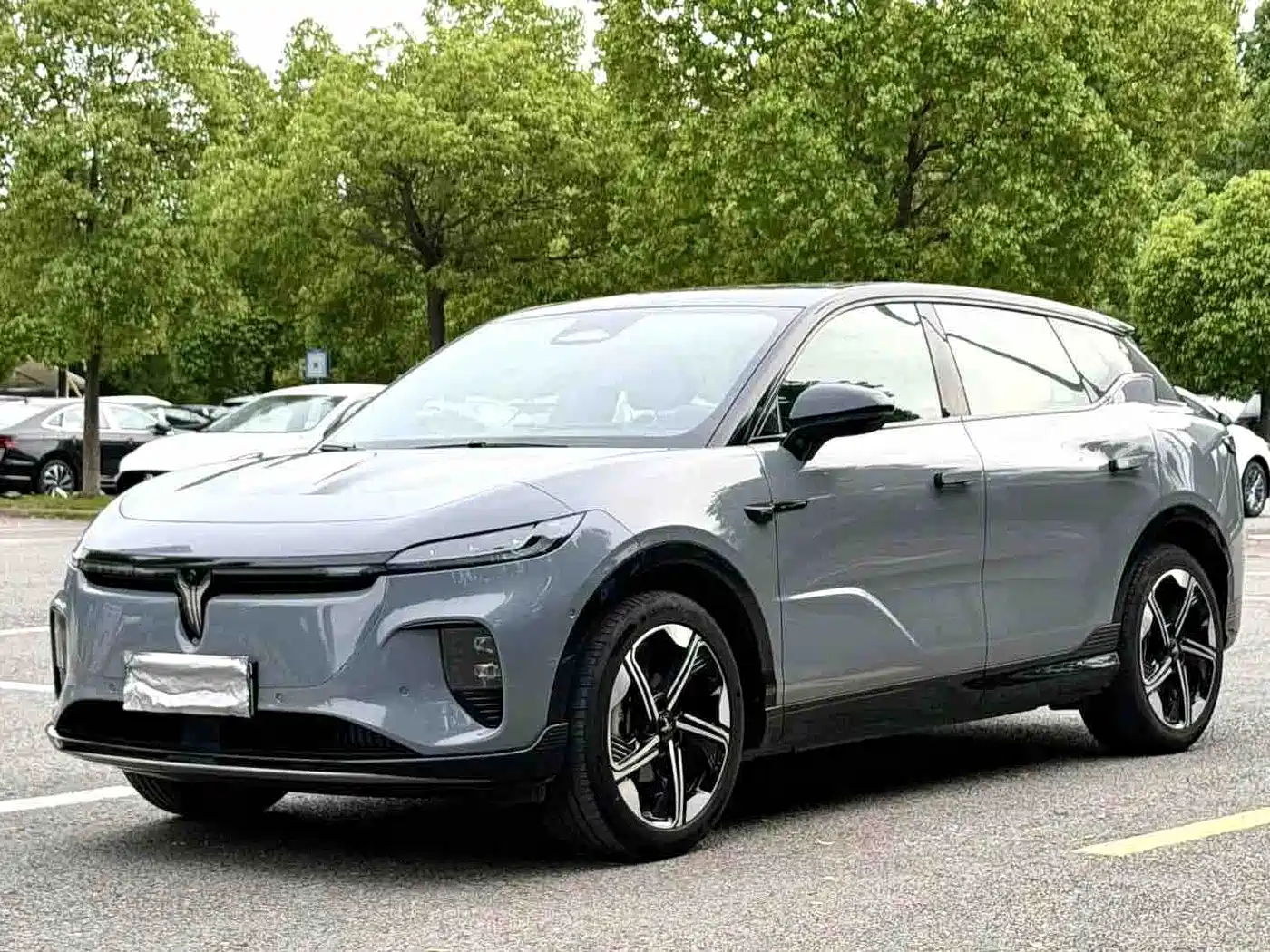 Voyah Auto Voyah Zhiyin 2024 Long Range Super Charging Edition