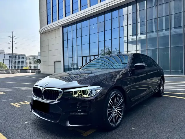 BMW 5 Series 2019 530Li Leading M Sport Package