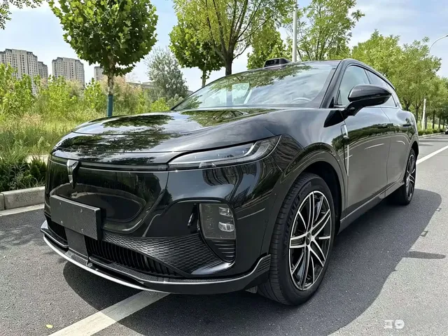 Voyah Auto Voyah Zhiyin 2025 Base