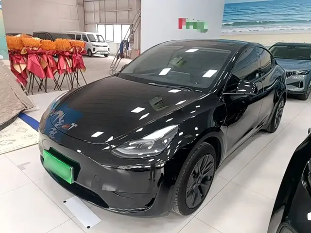 Tesla Model Y 2024 Rear-Wheel Drive Version