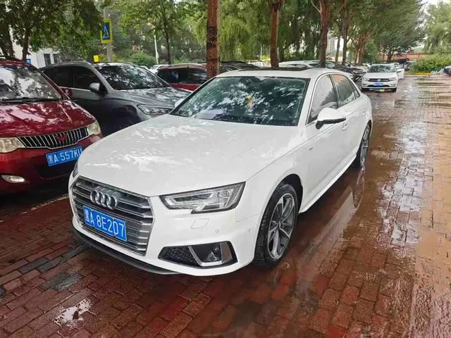 Audi A4L 2019 40 TFSI Sport (China VI)