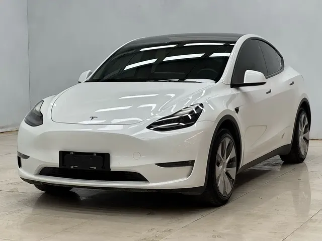 Tesla Model Y 2021 Standard Range Rear-Wheel Drive