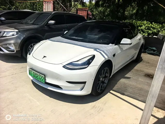 Tesla Model 3 2020 Standard Range Rear-Wheel Drive Upgrade