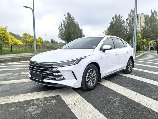 BYD Destroyer 05 2024 Glory Edition DM-i 55KM Luxury