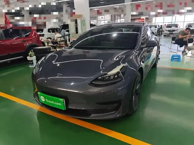 Tesla Model 3 2021 Standard Range Rear-Wheel Drive Upgrade 3D6