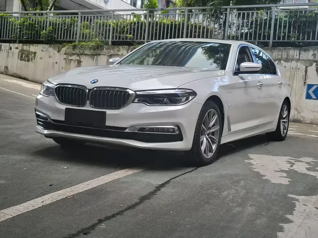 BMW 5 Series New Energy 2019 530Le Luxury Package