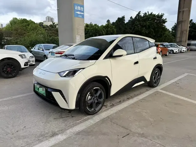 BYD Seagull 2024 Glory Edition 305km Vitality Edition